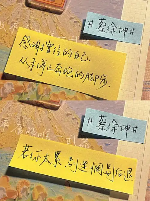 爱豆语录蔡徐坤一个催更了很久的小可爱