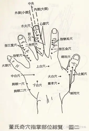 董氏奇穴|(一一部分)指掌穴位详解