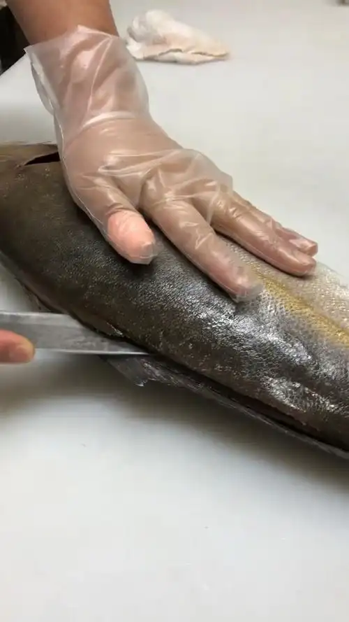 章红鱼章红鱼分解第一步大家看看这个手法怎么样