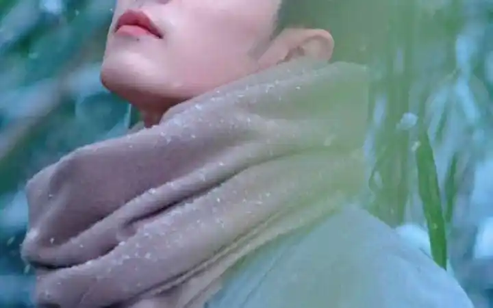 狠狠幸福着#肖战 #肖战冬至竹林大片 #氛围感