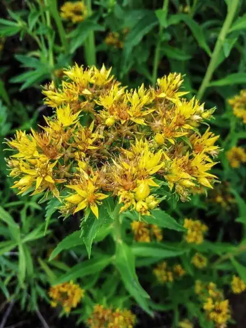 600_800竖版 竖屏