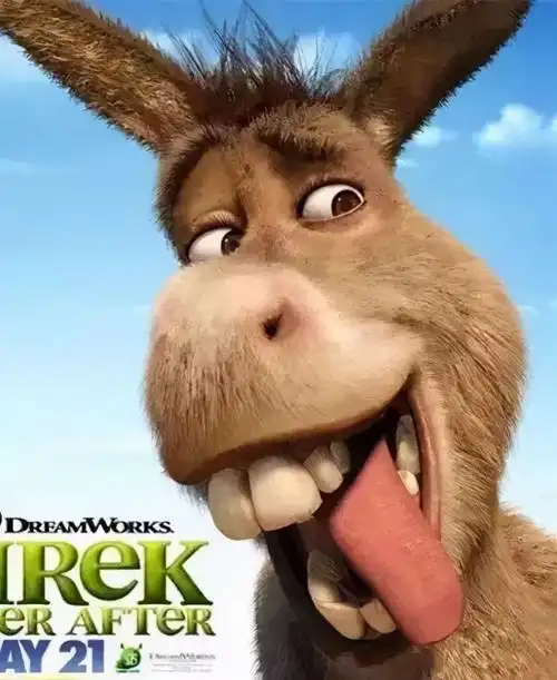 对比一下《怪物史莱克》中的驴子:比如同样来自四川的这匹马:其实