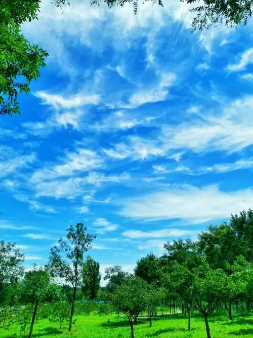 其它 同在蓝天白云下 写美篇同在蓝天白云下           背景音乐