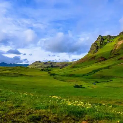 清新绿色风景头像绿色辽阔的草原风景图片