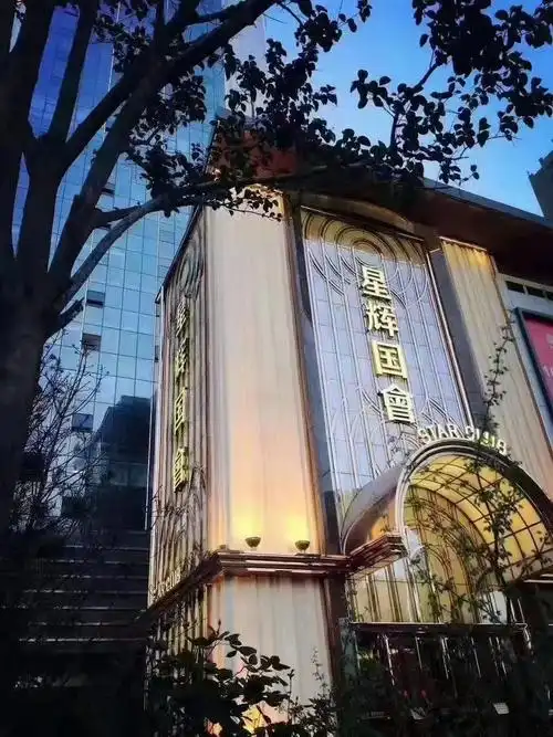 地址:未央区凤城四路明光路海璟新天地4f西安星辉国会ktv提前预定免费