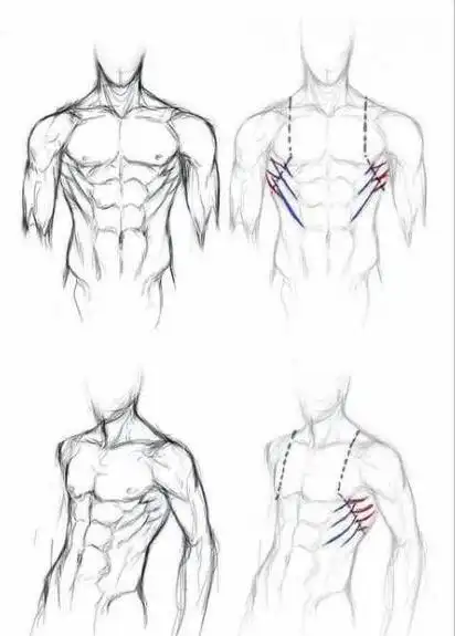 大饱眼福一大波男生的腹肌绘画参考集美萌赶紧画个男朋友啊