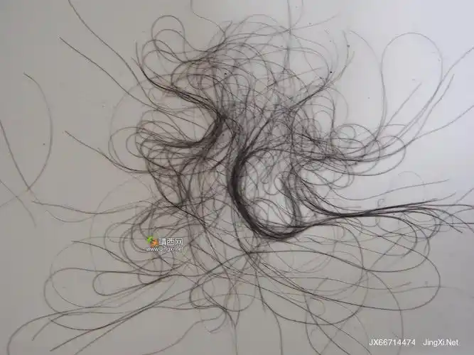 这样洗头真的会头发掉一地?