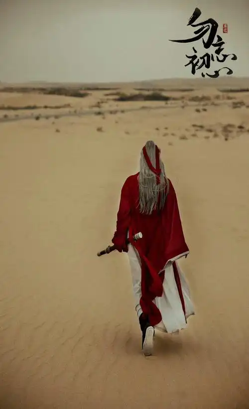 终于如愿仗剑天涯