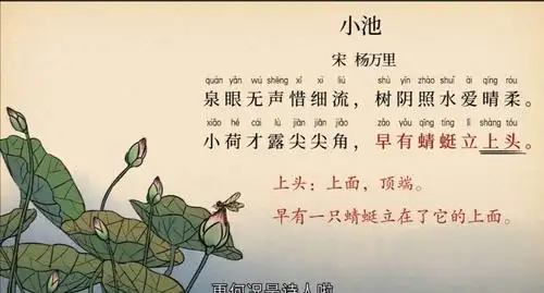 古诗二首——《小池》