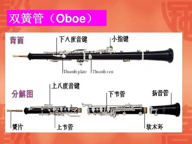 单簧管: 让我们听听单簧管的音色. 4.   大管