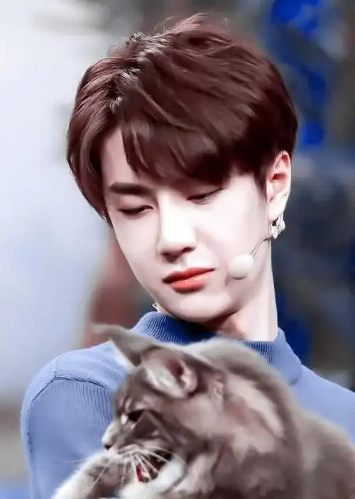 我是王一博的猫让本喵来介绍一博哥哥休息日的一天行程吧