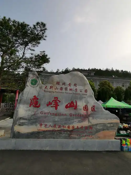 湖北黄冈麻城龟峰山景区杜鹃