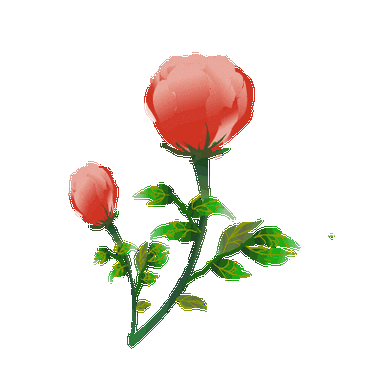 396_410gif 动态图 动图