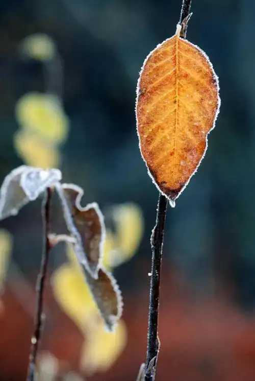 风景,人文,旅游