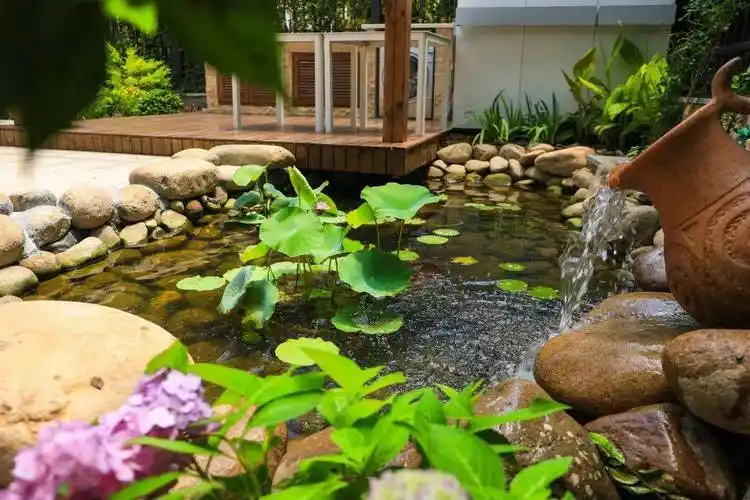 庭院设计|庭院鱼池设计成功的七大要素,缺一不可,庭院设计|庭院鱼池