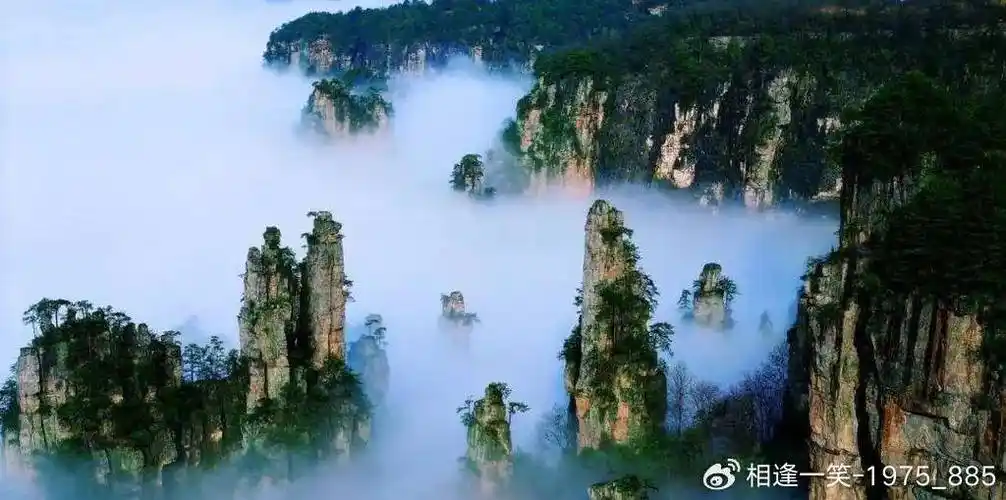 张家界国家森林公园一日游游玩攻略请收好