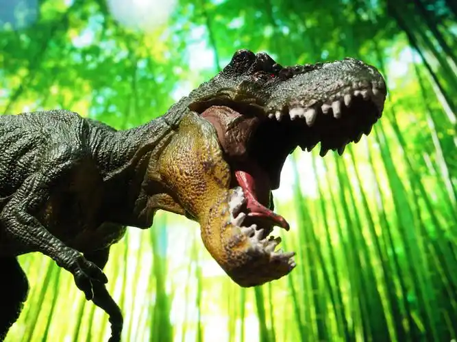 武汉加油春节特辑