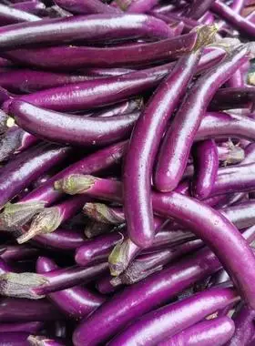 助农线茄细长茄新鲜3斤茄子农家