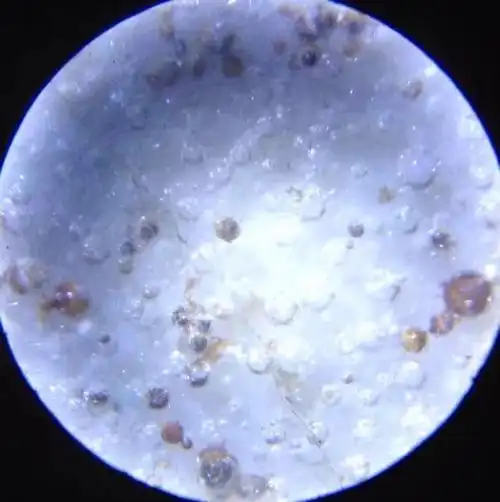 古瓷死亡气泡之我见