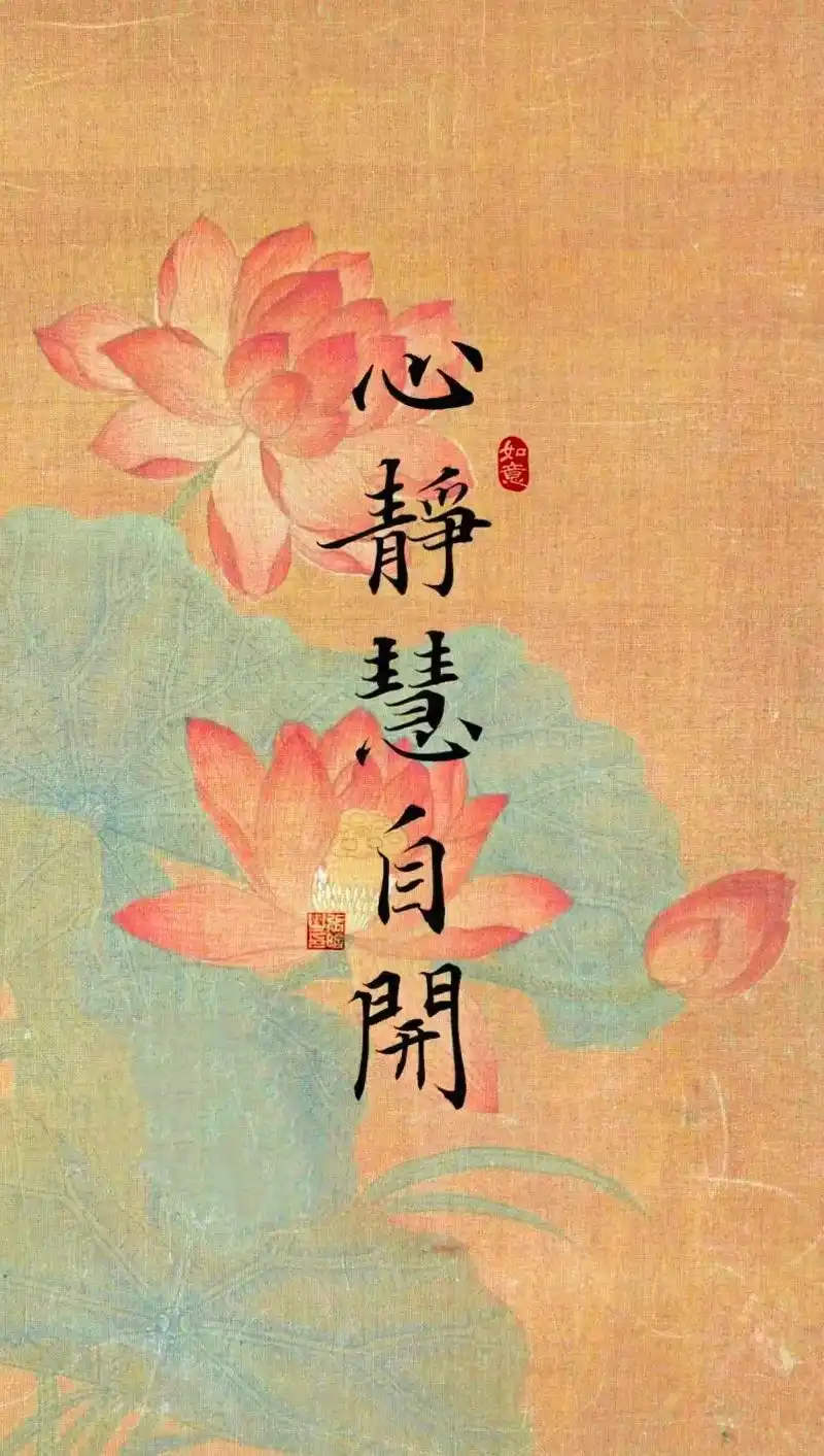 804_1420竖版 竖屏