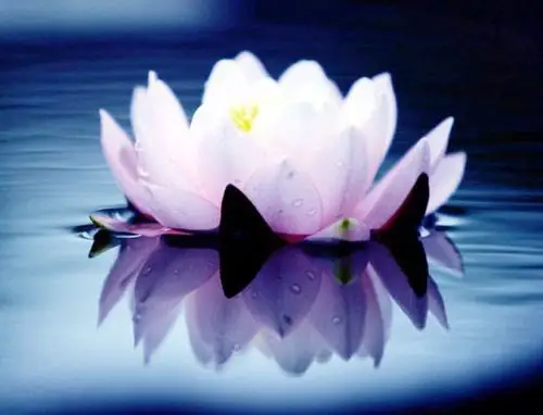 坐禅,参禅,气功,瑜伽……留神"苦思冥想卫生"面前的邪教入侵!