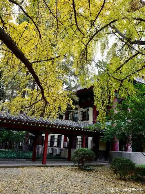 探访号称东方最美丽校园的南师大随园校区