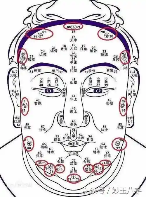 不一样的,接下来本文将详细介绍下如何通过面部看一个人的性格与运势