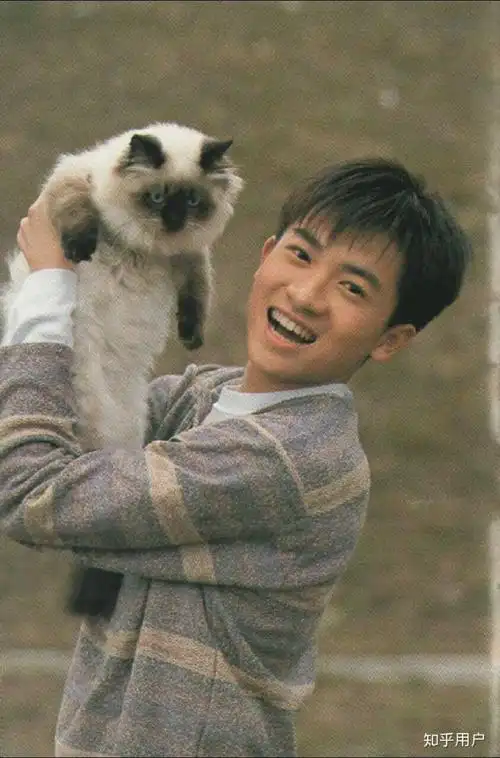 如何评价苏有朋年轻时的长相?
