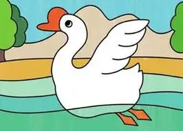 白鹅简笔画涂色