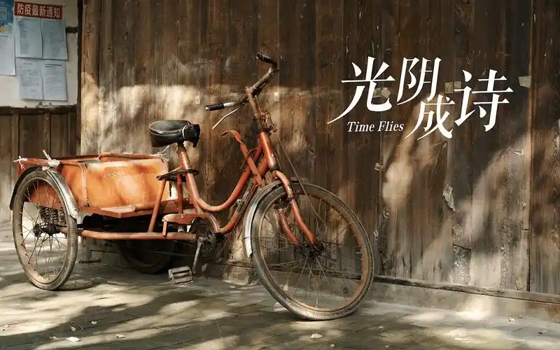 生活影像|时光飞逝,光阴成诗.