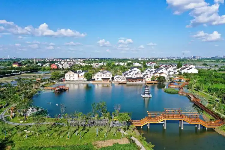 老旧池塘变身生态公园