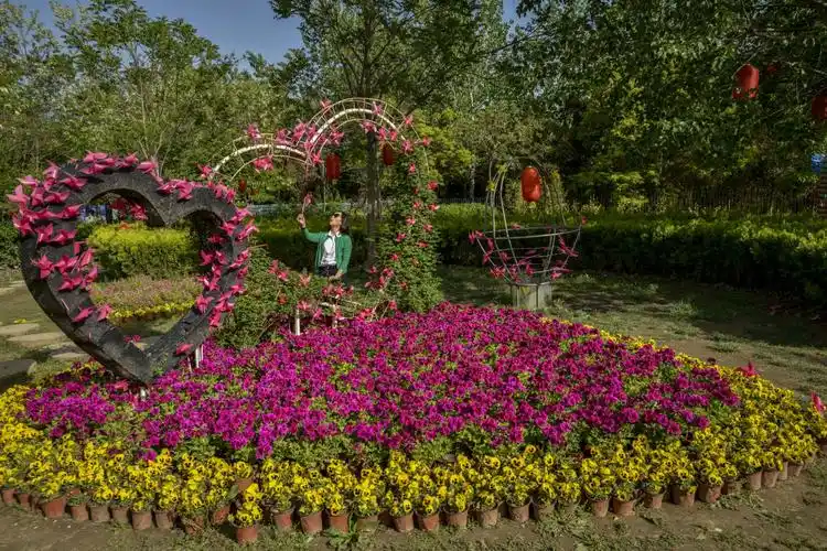 花海运城放异彩,舜帝公园又现郁金香主题花展