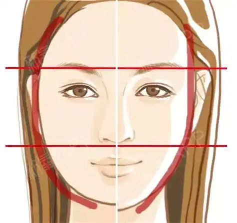 人脸五官图片大全人脸五官正面简笔画2022已更新今日动态