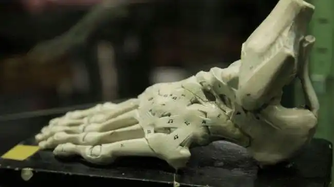 2gb 人体探索纪录片插图(3)