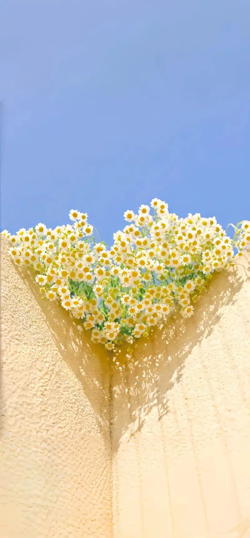 2024最火壁纸图片最新款,手机壁纸,iphone苹果壁纸, - 抖音