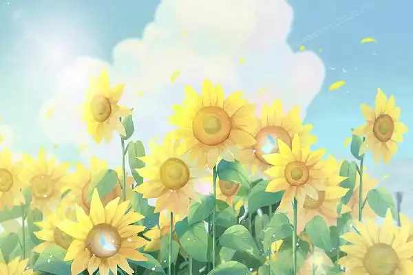 夏日里的向日葵夏天背景卡通阳光下jpg素材卡通夏天背景插画