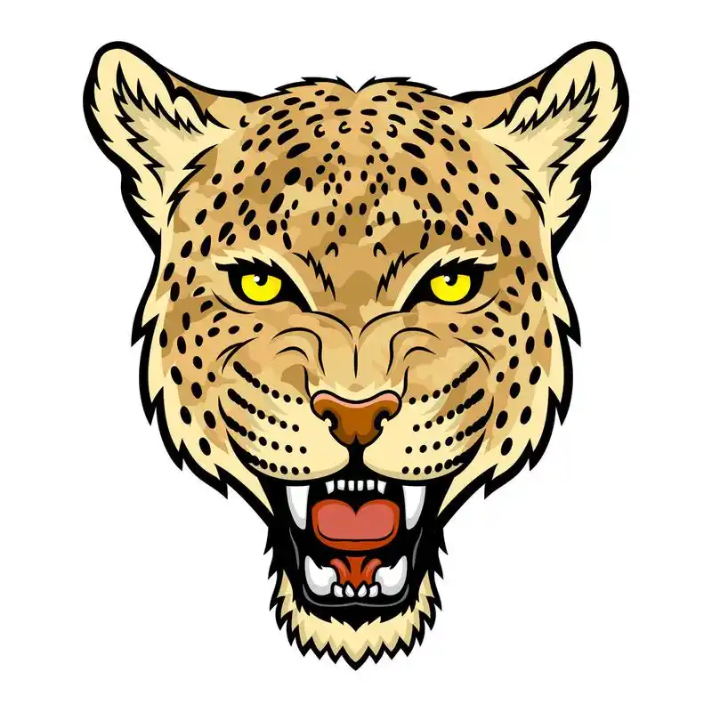 豹,豹子头.完美的军事风格的彩弹吉祥物.