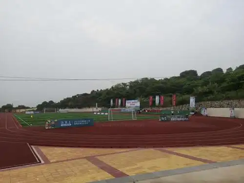 龙海市第二届杨梅文化节足球邀请赛暨龙海市浮宫中学风采采风