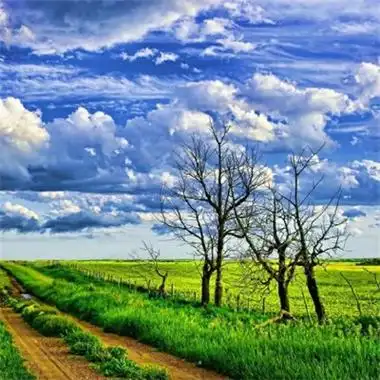 适合做头像的风景图片优美超唯美治愈的最新风景高清头像大全