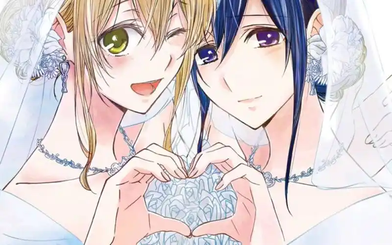 【citrus~柑橘味香气/橘里橘气】bet on me