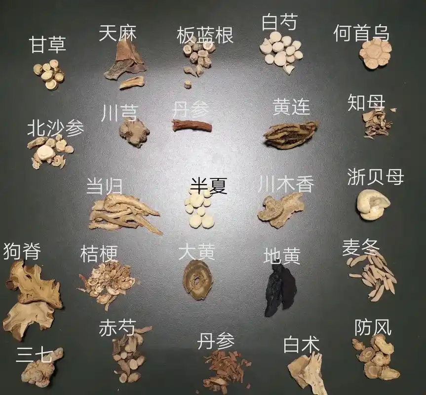 中药材 #中医 #科普中药材养生知识 #中药带药名图片大全 - 抖音