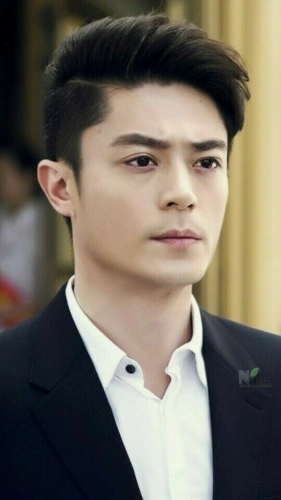 谁有霍建华照片呀?