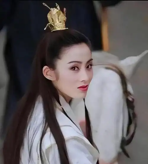 张敏饰演的赵敏,融合了女子的娇柔与学者的沉稳,仪态万方,英姿飒爽,每