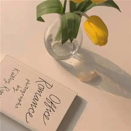 唯美文艺风的朋友圈配图