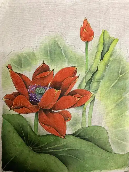 工笔画练习  #国画工笔画  #工笔花鸟  #工笔  #荷花  #国画花鸟