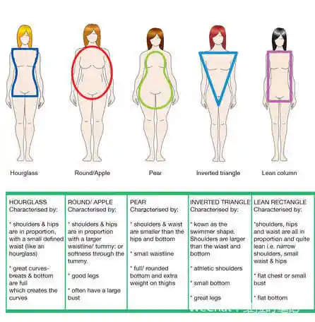 谢不邀,先上个各种身材的对照表,再来讲苹果型身材的穿搭.