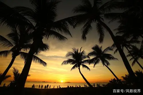 三亚:冬日里的椰风海韵,海边夕阳如画,令人神往