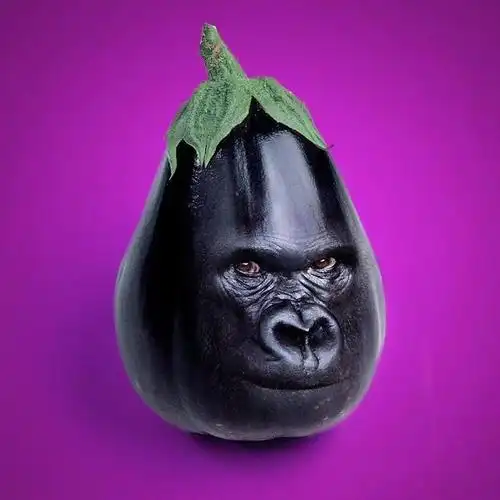 大猩猩茄子,烧烤一定更多肉!对……对……不起,打扰了,烤?