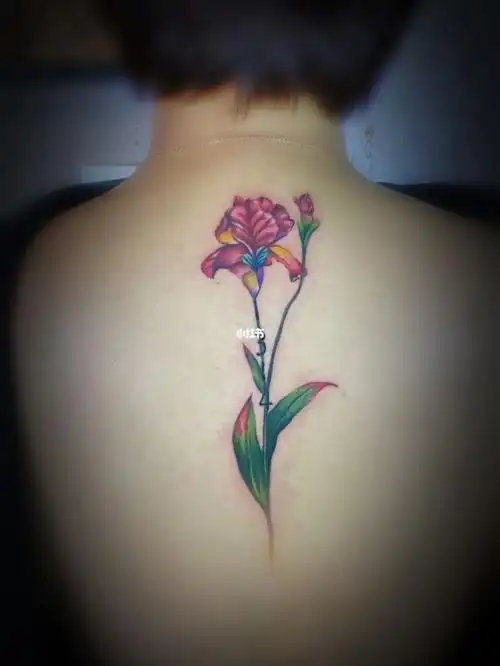 后背脊柱彩色花纹身