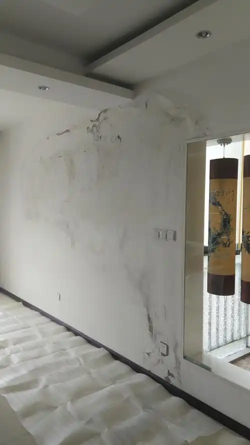 【玫瑰尚品】墙面翻新升级 - 美篇